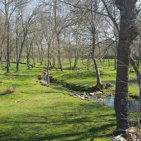 Do Convento D'aguiar- Turismo De Habitacao 게스트하우스 4*