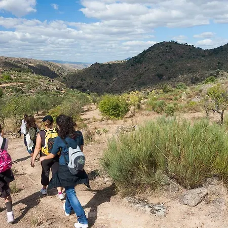 Do Convento D'aguiar- Turismo De Habitacao 게스트하우스 피구에이라 데 카스텔로 로드리고